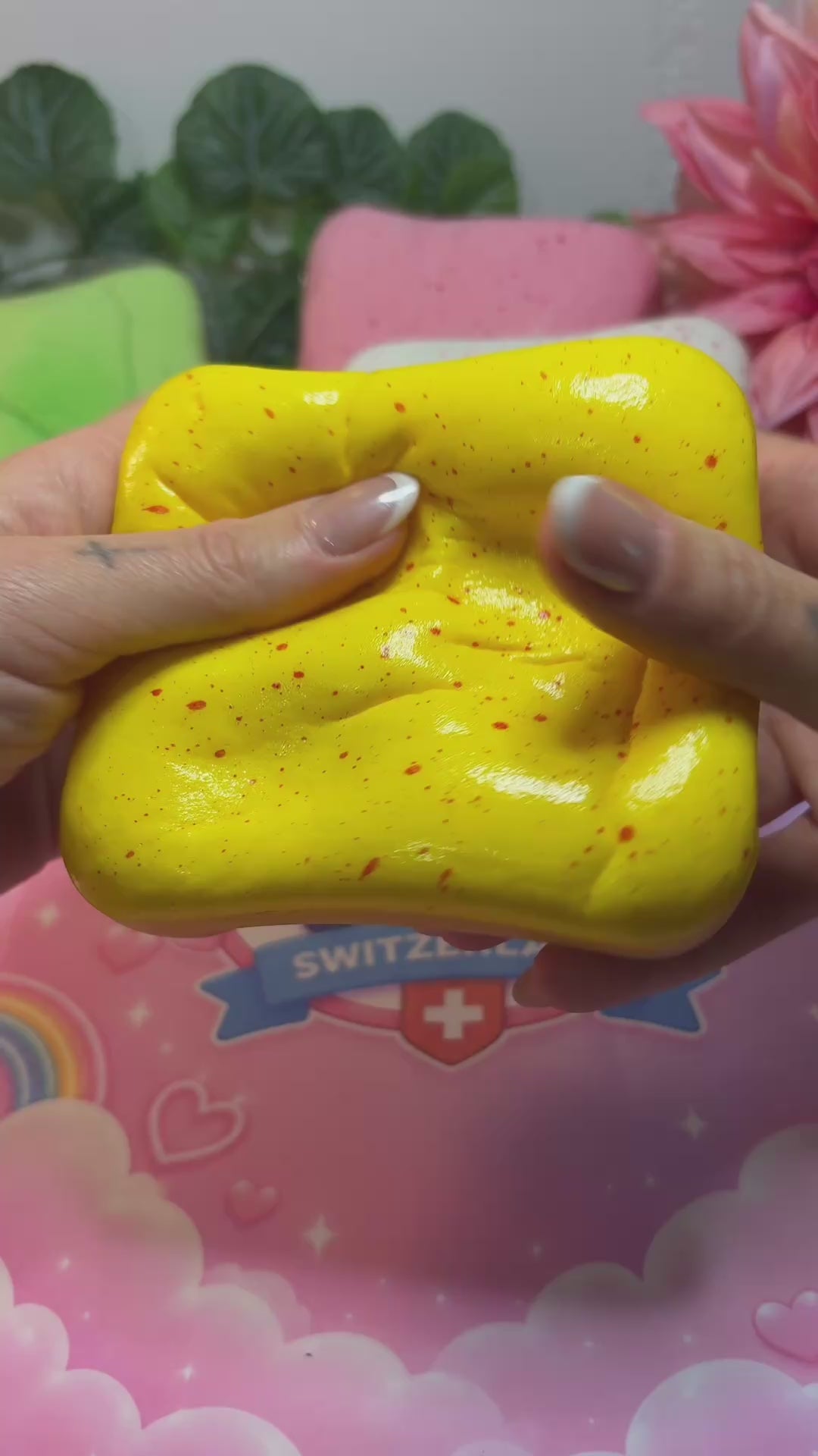 Toast Squishy
